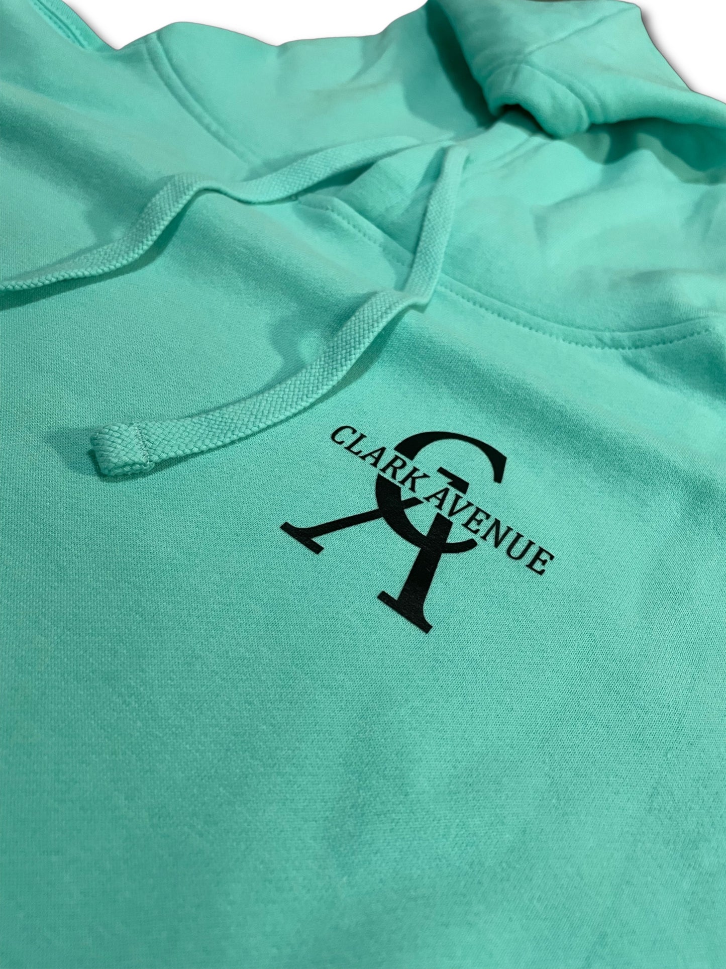 "THE DECEMBER" Soft Unisex "HOODIE" (TURQUOISE/BLACK LOGO)