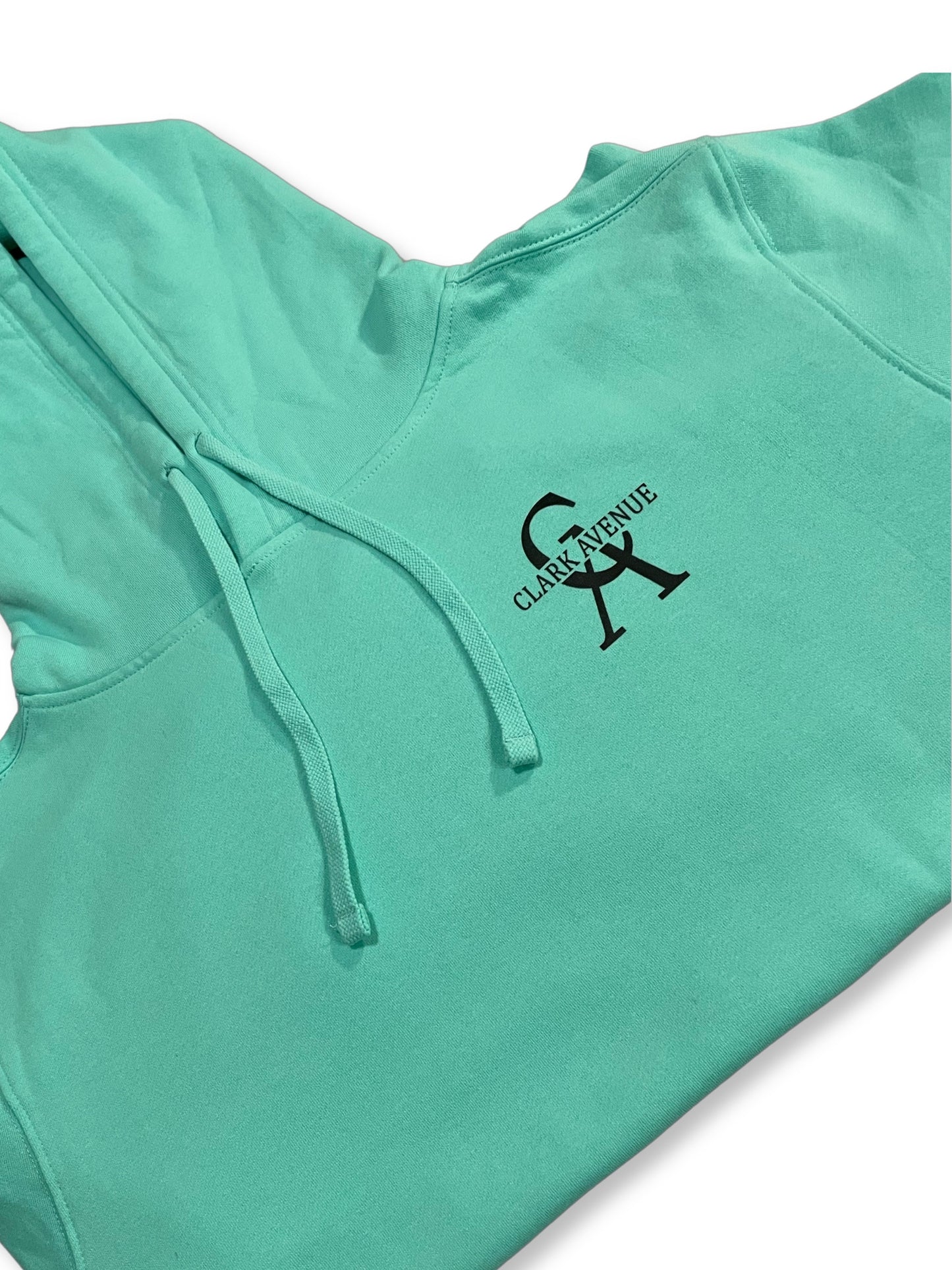 "THE DECEMBER" Soft Unisex "HOODIE" (TURQUOISE/BLACK LOGO)