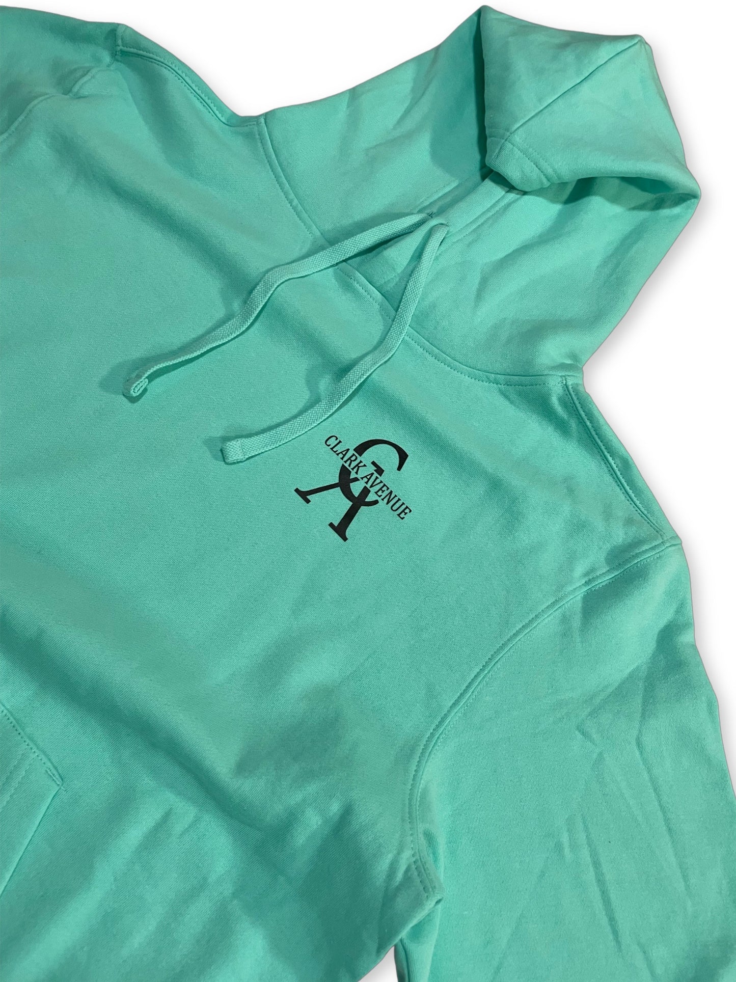 "THE DECEMBER" Soft Unisex "HOODIE" (TURQUOISE/BLACK LOGO)