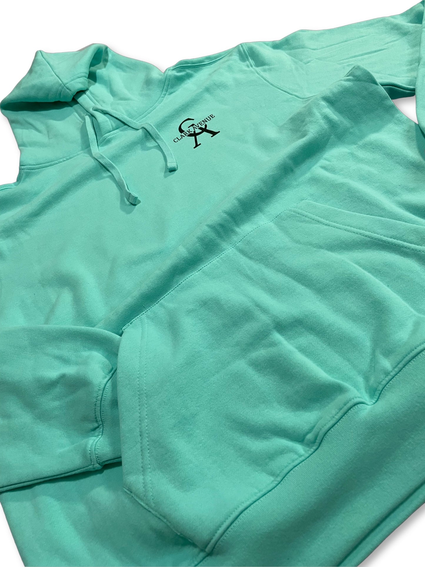 "THE DECEMBER" Soft Unisex "HOODIE" (TURQUOISE/BLACK LOGO)