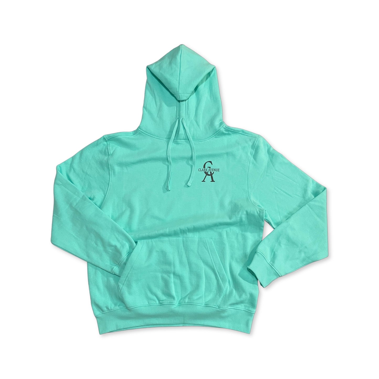 "THE DECEMBER" Soft Unisex "HOODIE" (TURQUOISE/BLACK LOGO)